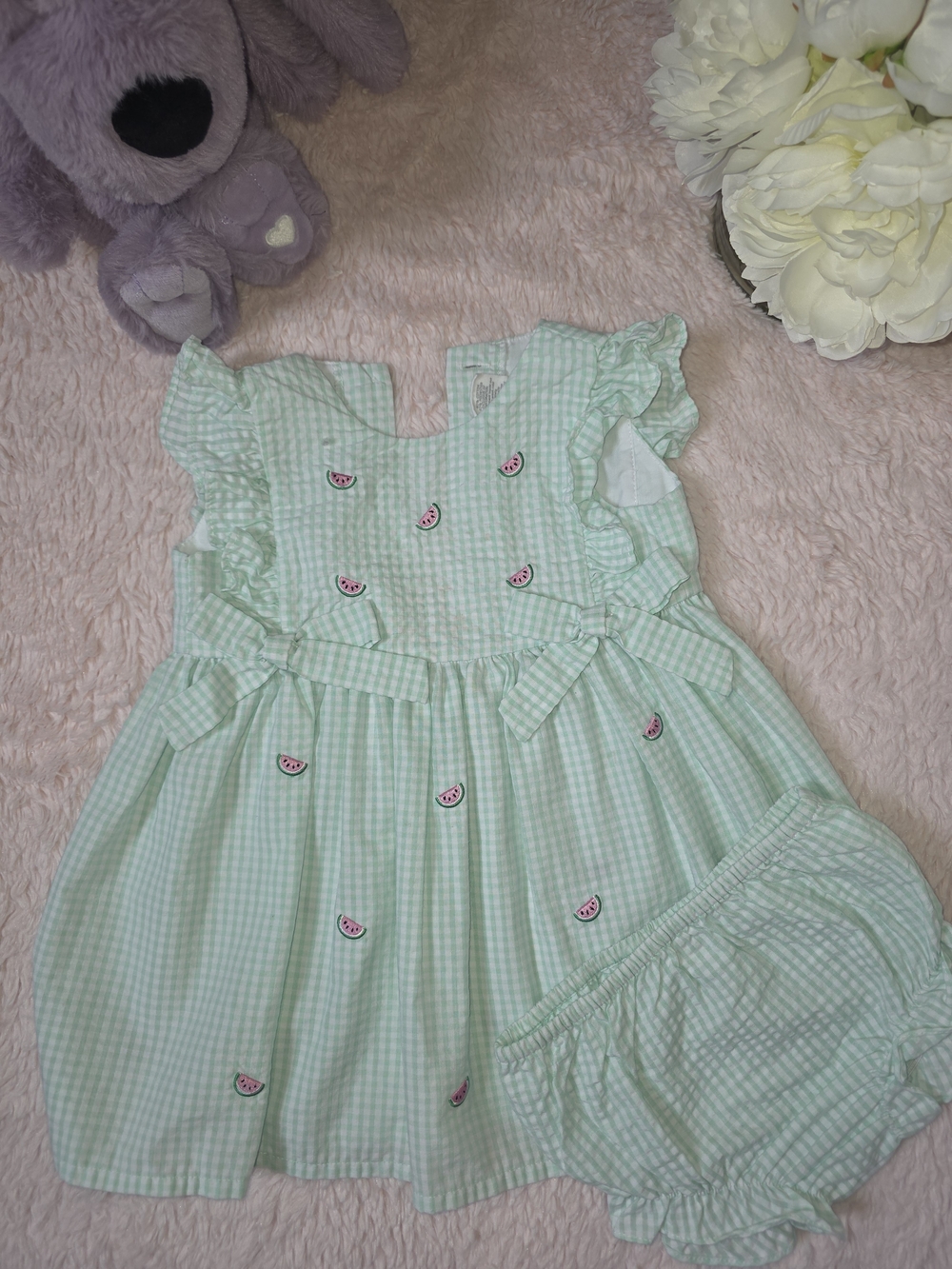 Starting Out Mint Green Gingham Watermelon Embroidered Dress with Bloomer